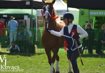 Horse and Pony Show 2018